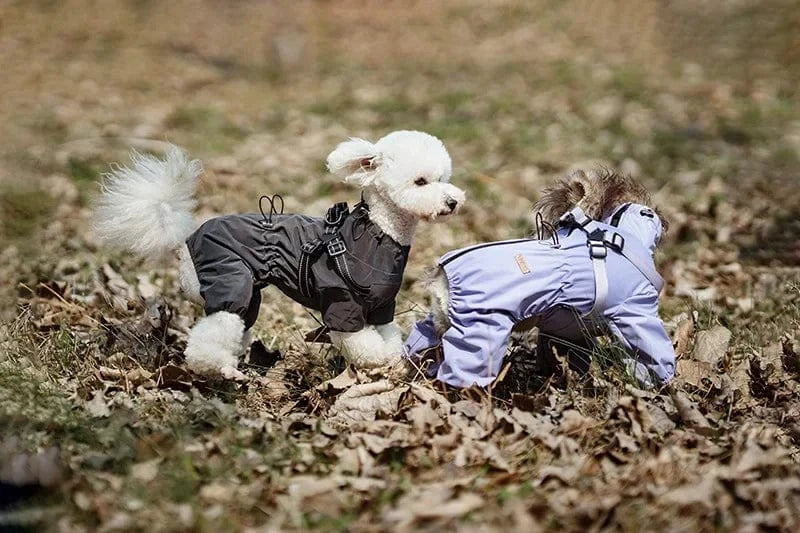 Dog Raincoat with Harness