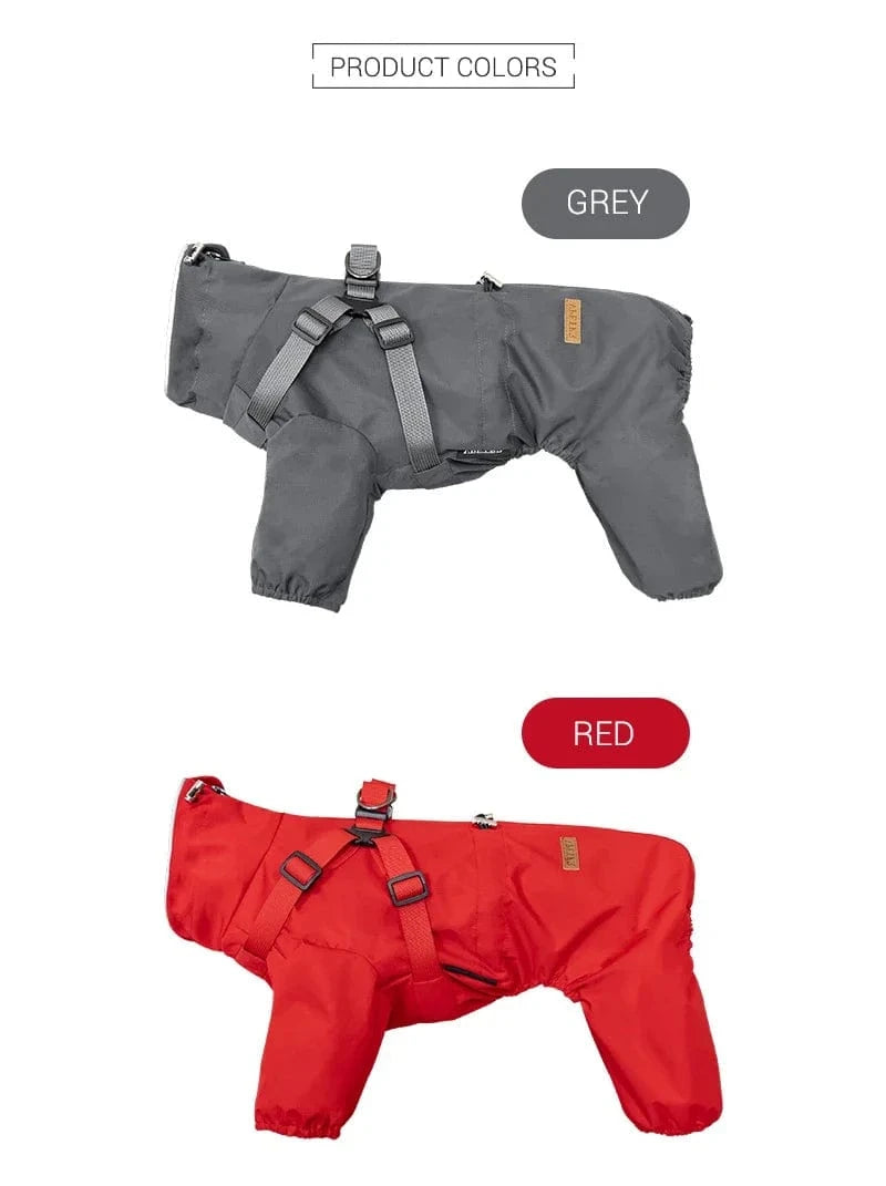 Dog Raincoat with Harness
