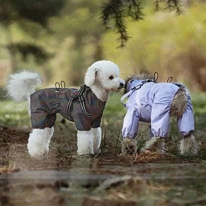 Dog Raincoat with Harness