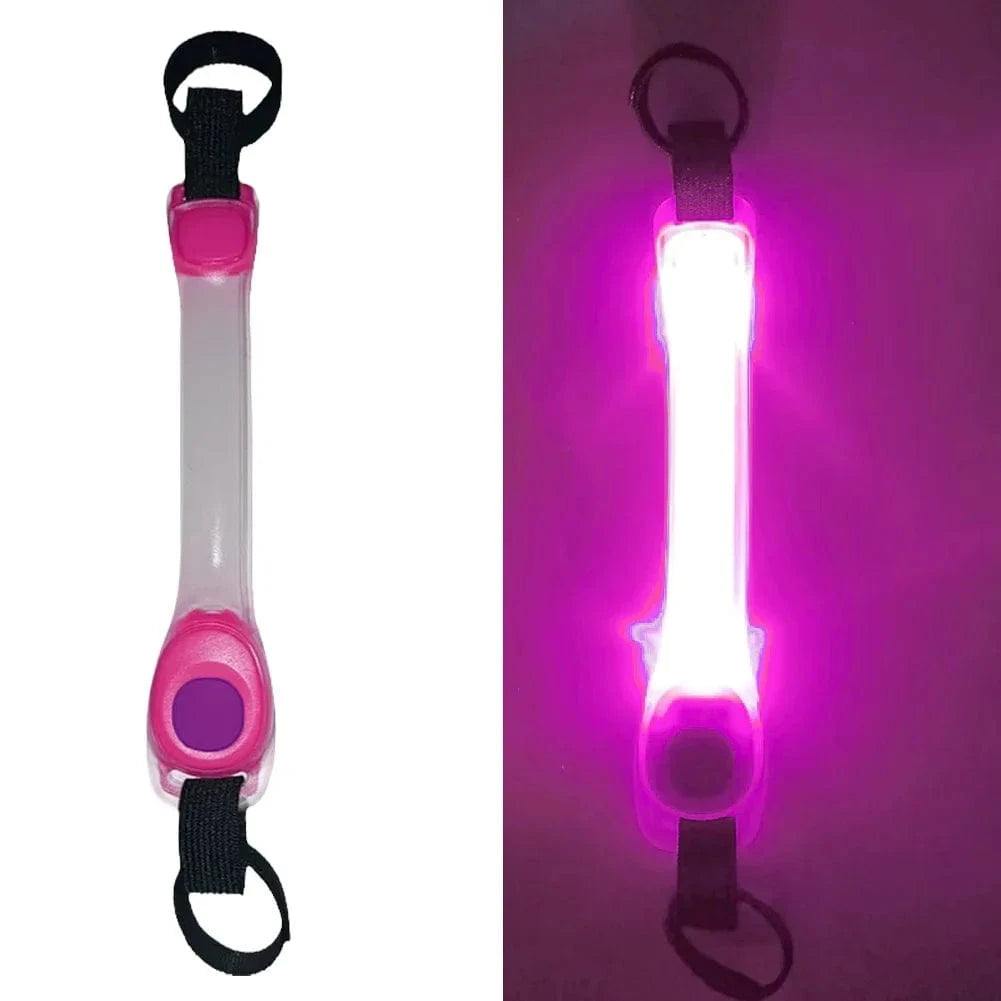 Glowing Dog Collar