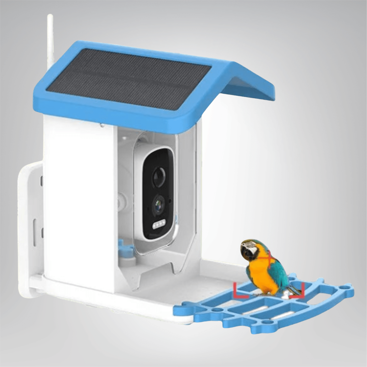 Outdoor Bird Feeder with camera