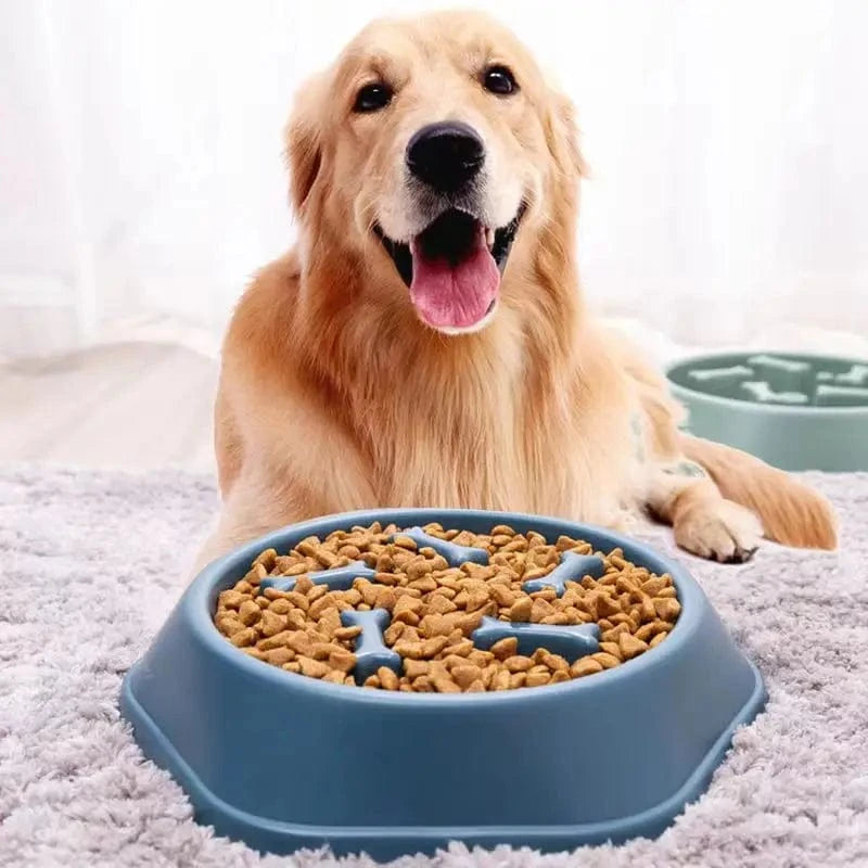 TechnuPet Dog Bowls Slow Feeder Dog Bowl