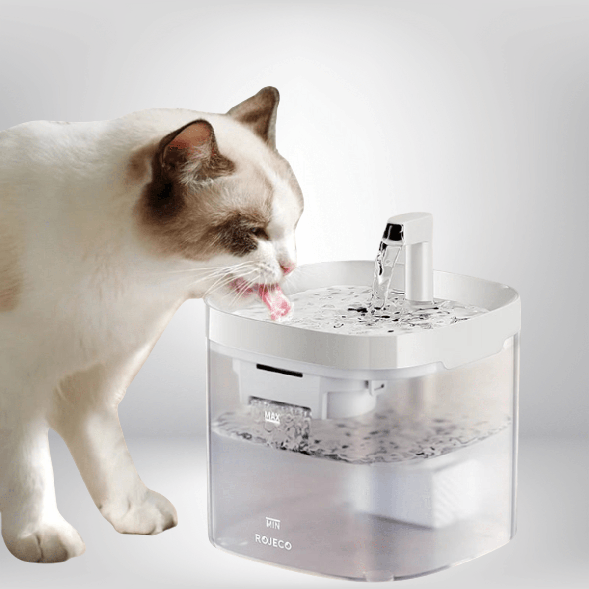 Smart Cat Water Fountain with filters
