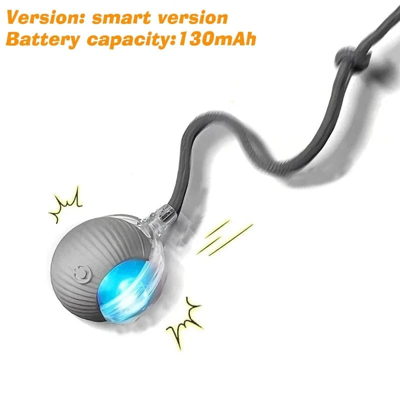 Smart Jumping Ball-Dog Toys