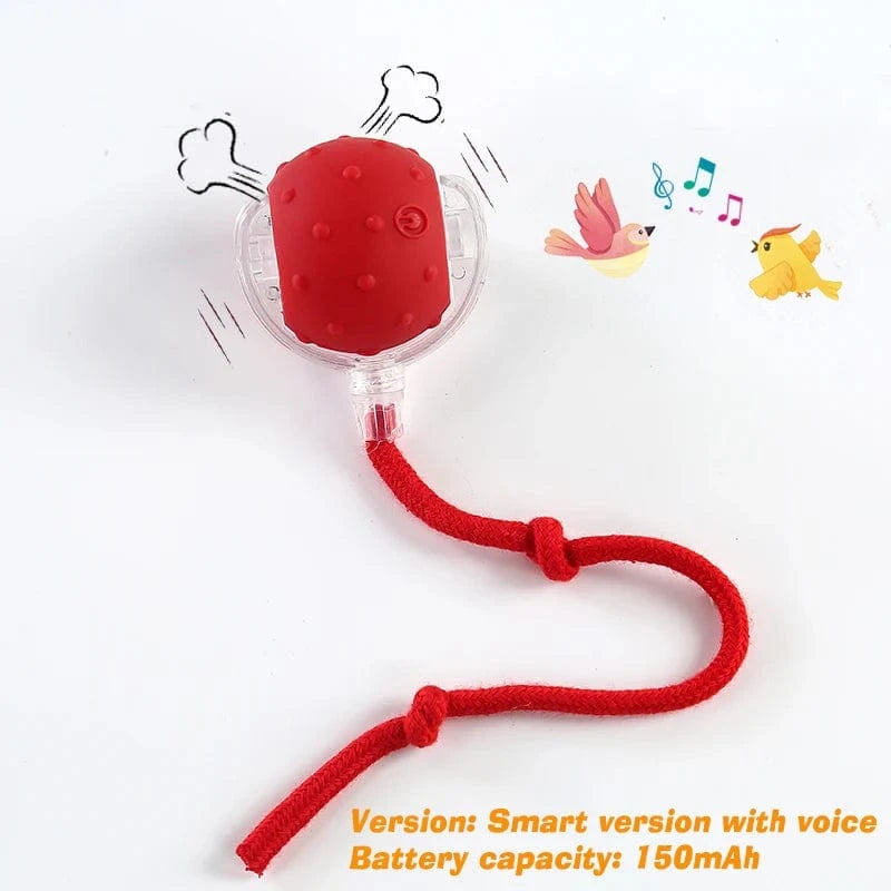 Smart Jumping Ball-Dog Toys
