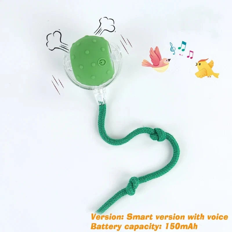 Smart Jumping Ball-Dog Toys