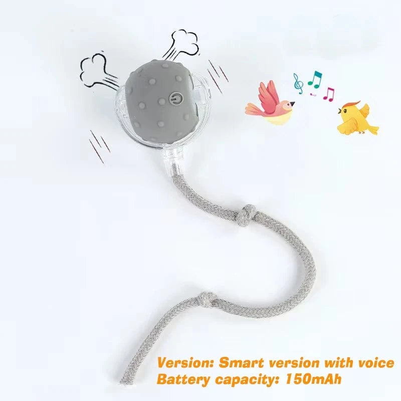 Smart Jumping Ball-Dog Toys