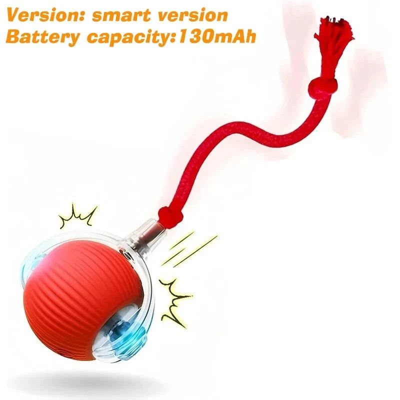 Smart Jumping Ball-Dog Toys
