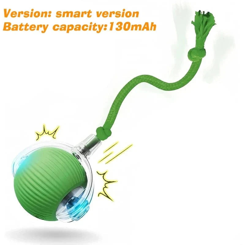 Smart Jumping Ball-Dog Toys
