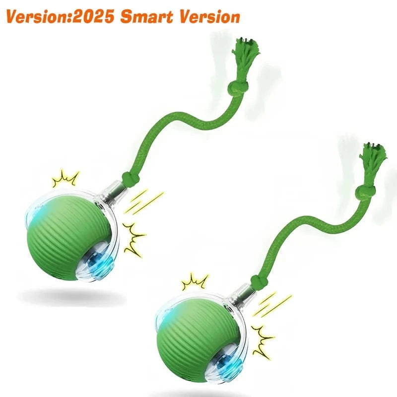 Smart Jumping Ball-Dog Toys