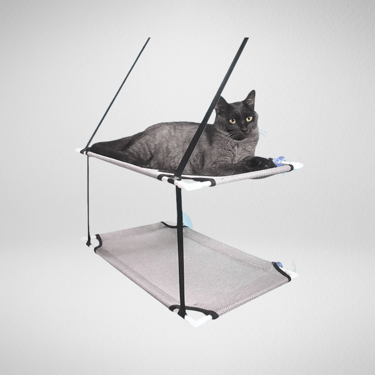 TechnuPet Cat Hammock Window Cat Hammock Suction Mount
